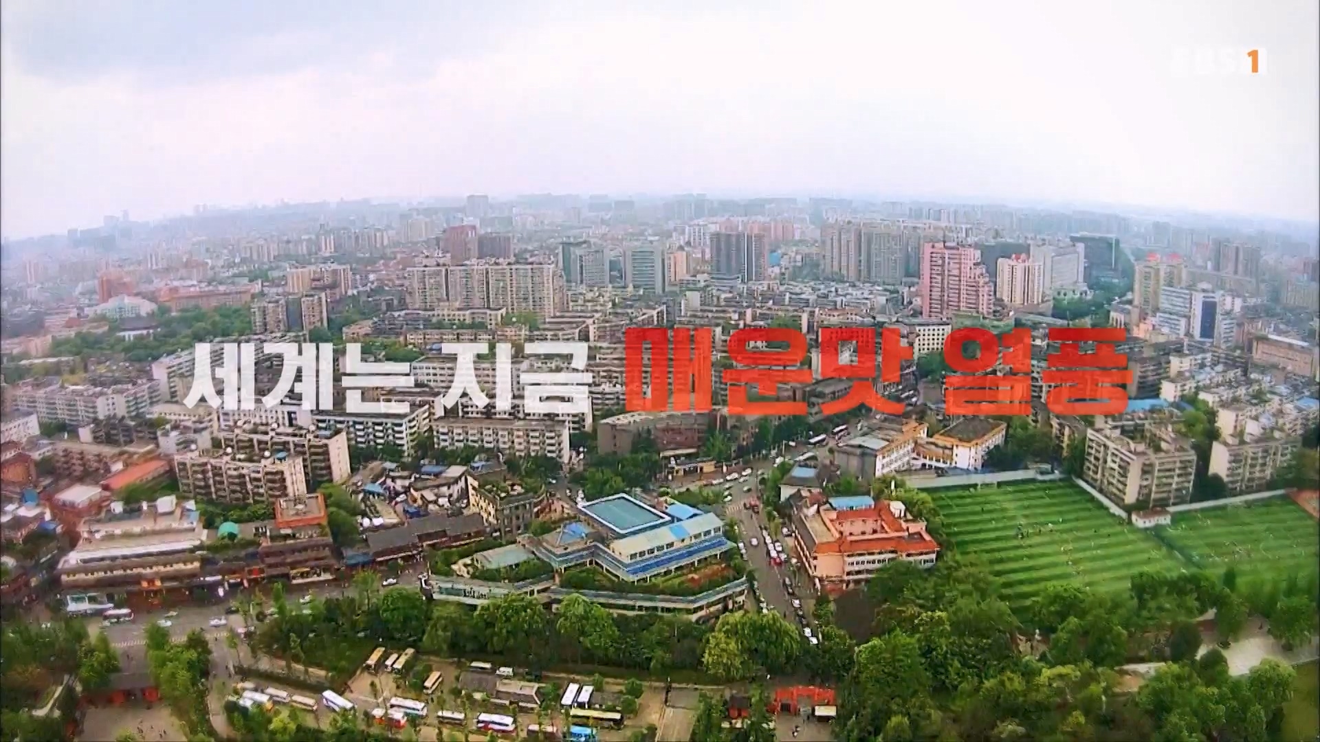 세계테마기행 231128 중국 서남부 정다운 밥상 기행 -매운맛 좀 볼까요0p.mp4_20231201_205813.995.jpg