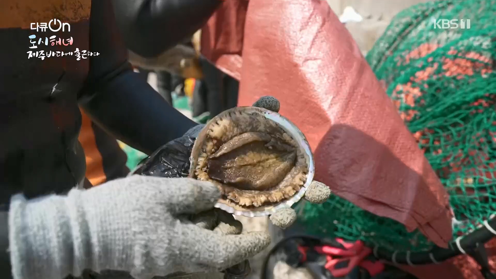 다큐 On.E197.230505p.H264-F1RST.mp4_20230507_133444.815.jpg