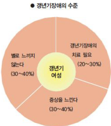 갱년기 증상