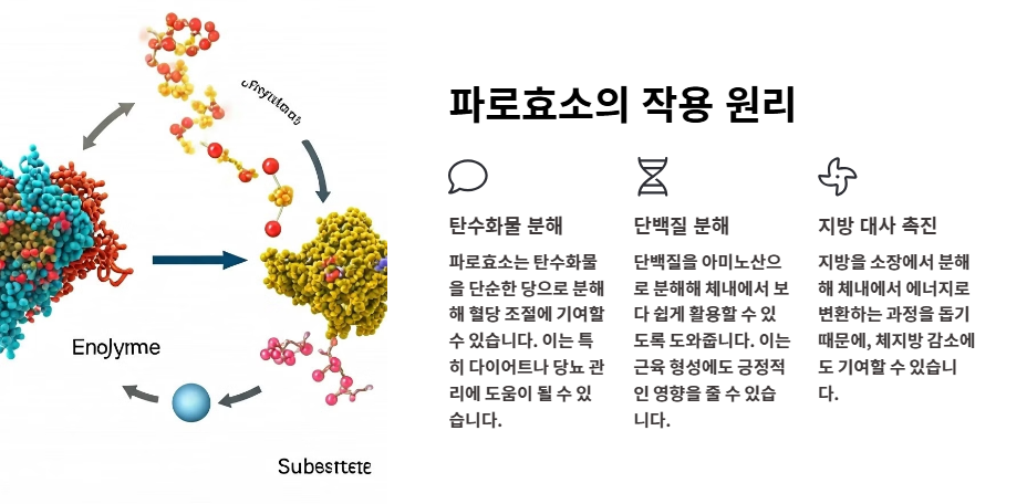 파로효소 곡물 효능 다이어트 파로쌀 가격 및 부작용 총정리