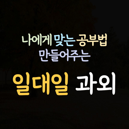  좌동신도시 영어과외 해운대신도시 수학과외 초등 중등 고등 국어과외 과학 사회 중학생 역사 한국사