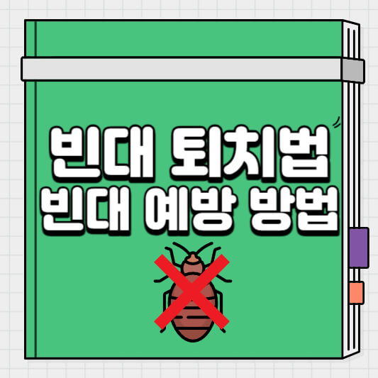 빈대 퇴치법과 빈대 예방 방법