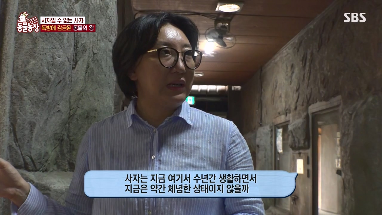 TV 동물농장.E1131.230731p-NEXT.mp4_20230730_190957.352.jpg