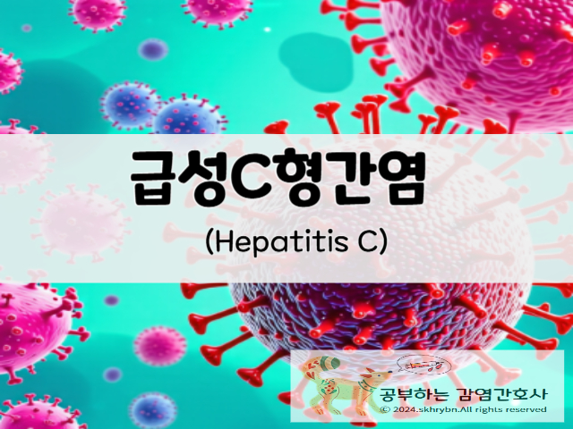 급성 C형 간염(acute hapatitis C)의 원인 및 증상 치료, 예방법