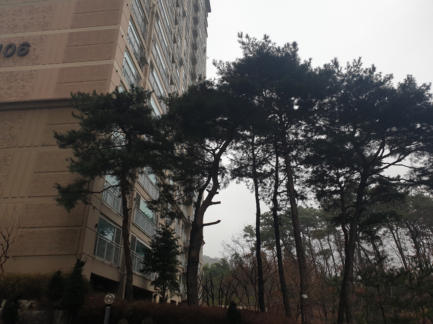 위장전입, 청약통장 매매, 자격 양도, 위장결혼, 부정청약 모니터링중입니다