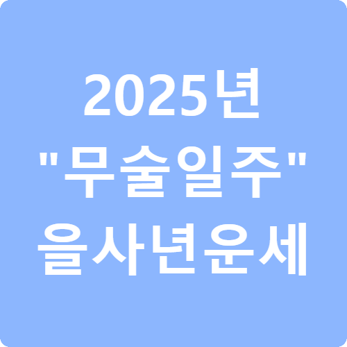 2025년 무술일주 을사년 운세