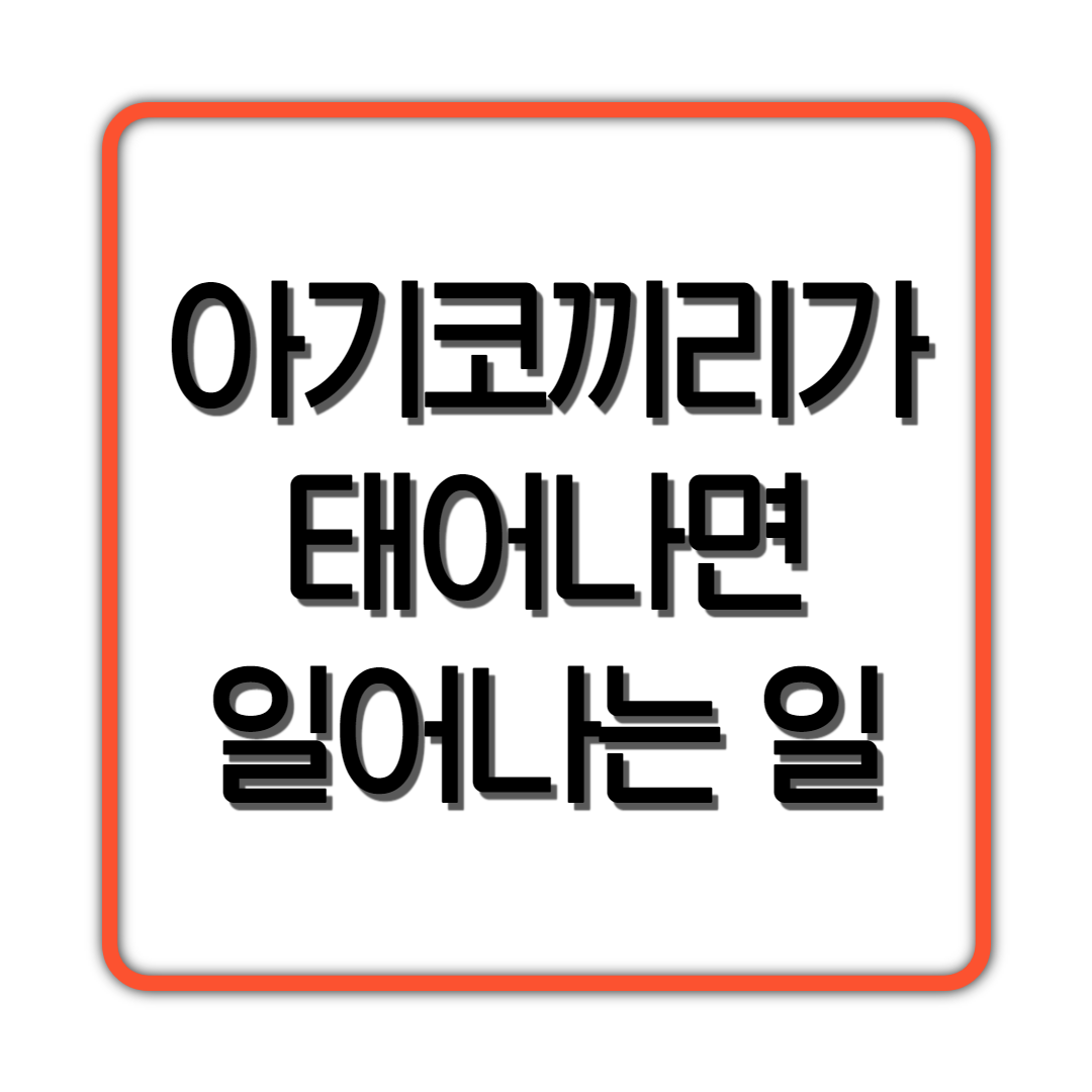  아기코끼리가 태어나면 일어나는 일