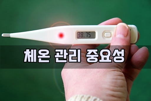  체온 관리 중요성