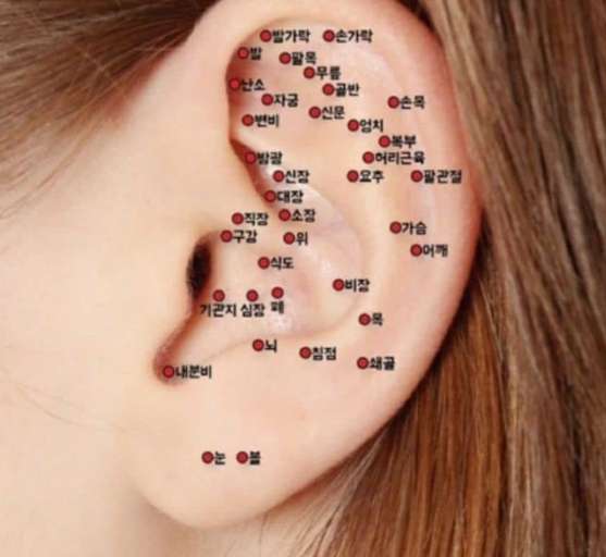  귀 지압점