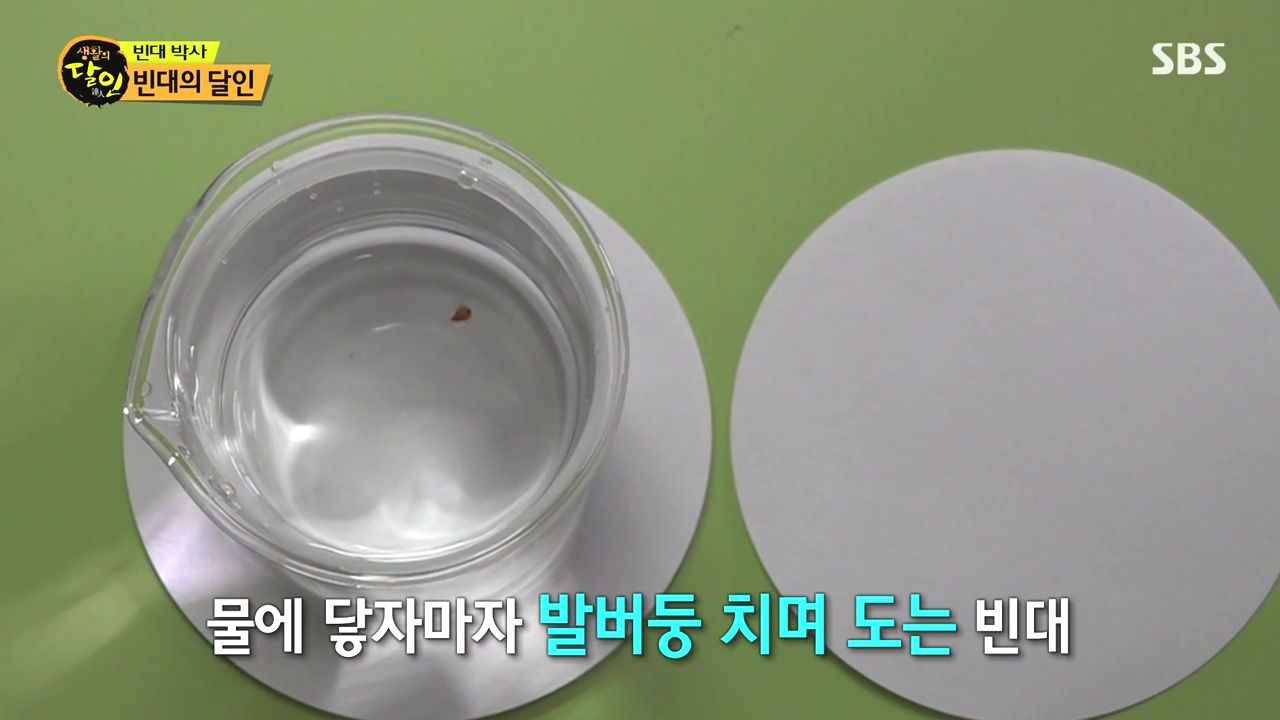 생활의 달인.E911.231114p-NEXT.mp4_20231114_200419.980.jpg