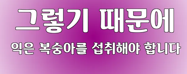  그렇기 때문에 익은 복숭아를 섭취해야 합니다