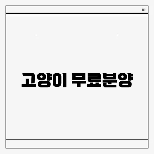 고양이 무료분양, 절호의 기회를 놓치지 마세요