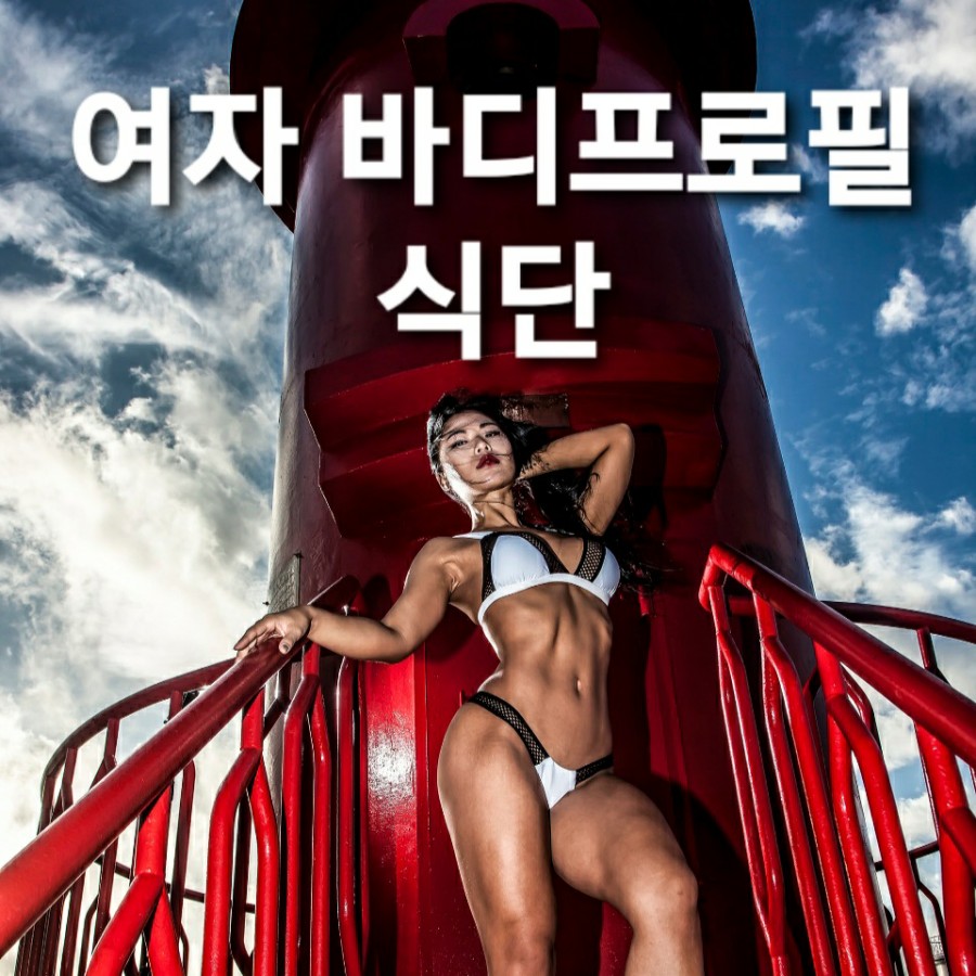  여자 바디프로필 촬영을 위한 바디프로필 식단/ 바디프로필 준비/ 바디프로필 방법 / 바디프로필 다이어트 식단