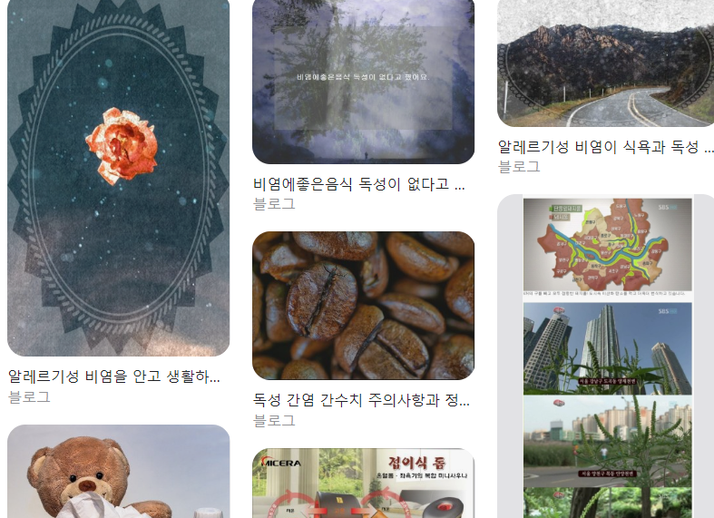  독성 비염 원인 증상 치료 총정리