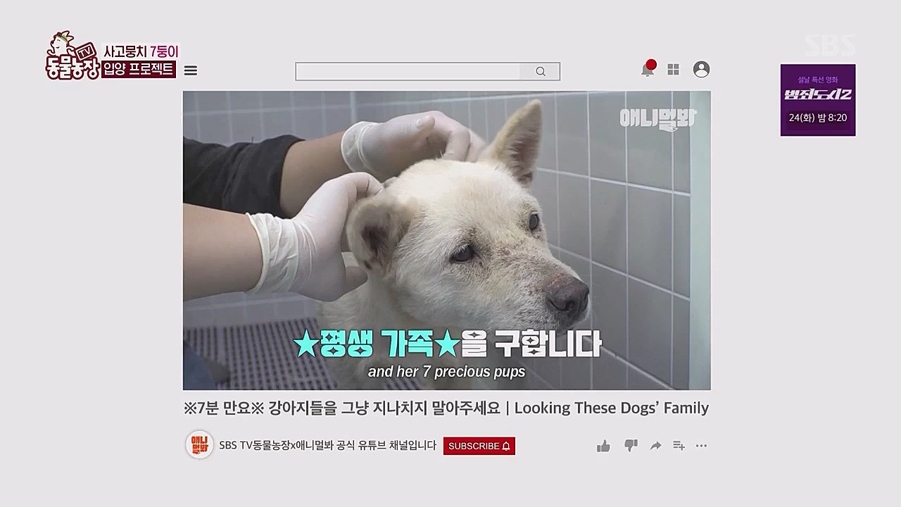 TV 동물농장.E1104.230123p.WANNA.mp4_20230123_195422.616.jpg