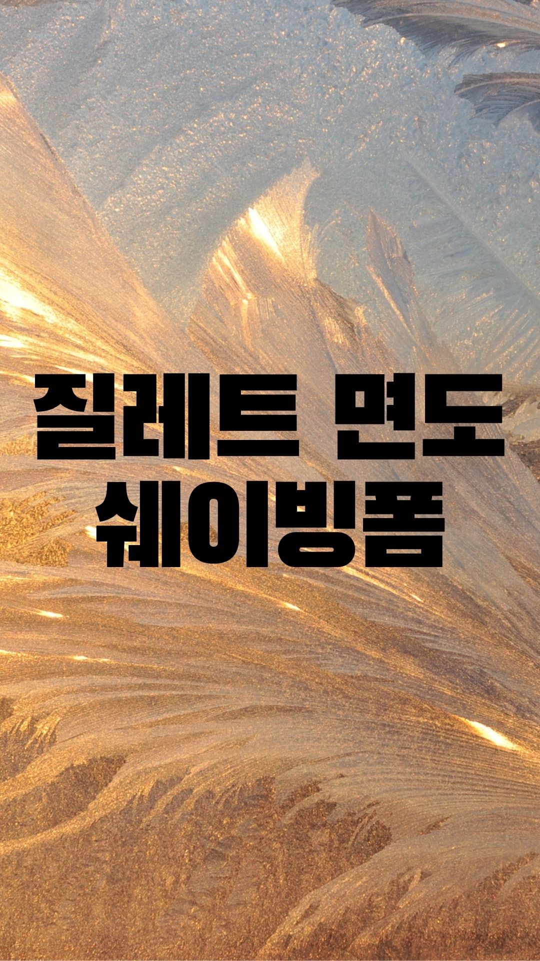  질레트 쉐이빙폼