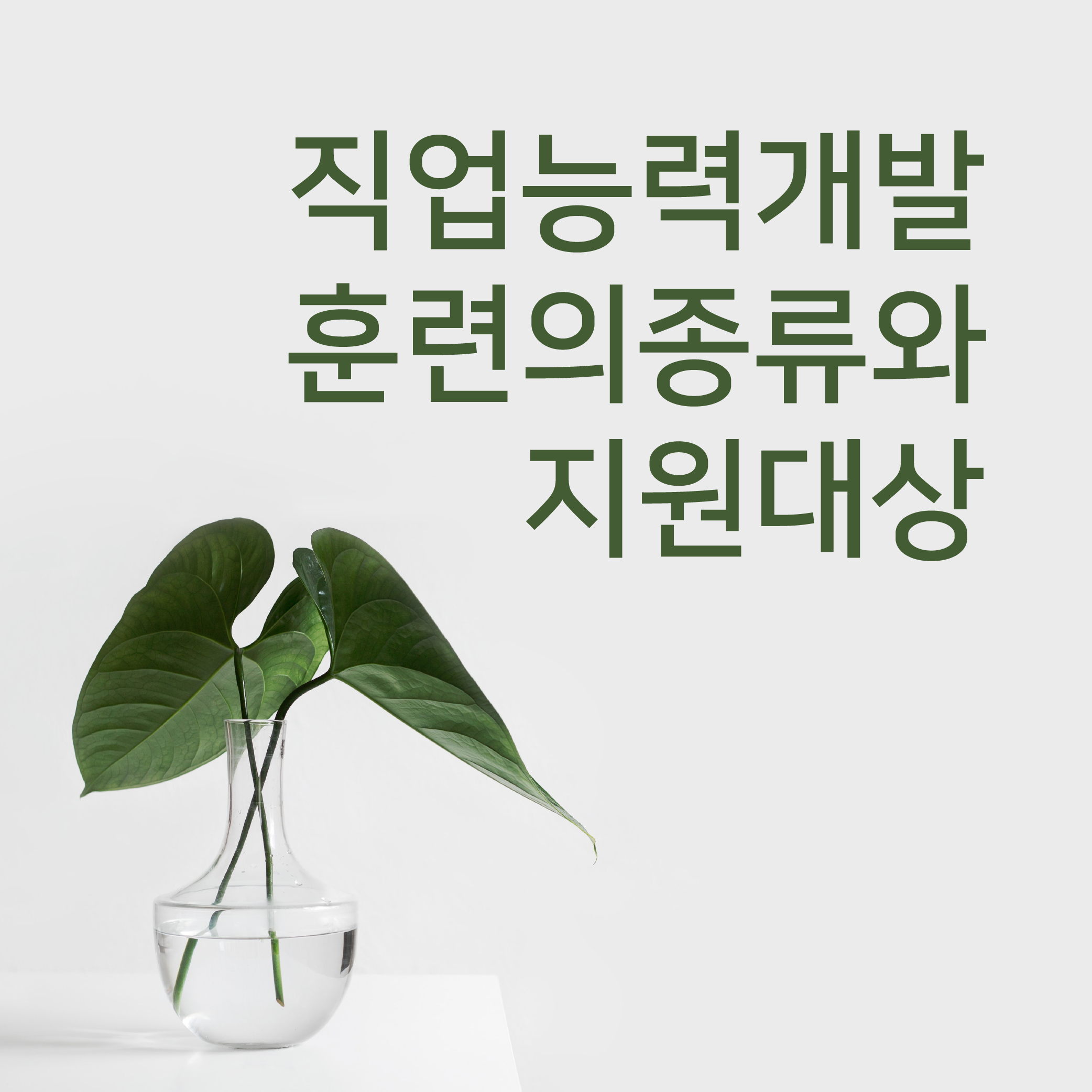  직업능력개발훈련의 종류와 지원대상