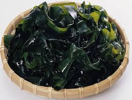 고양이김밥 이미지