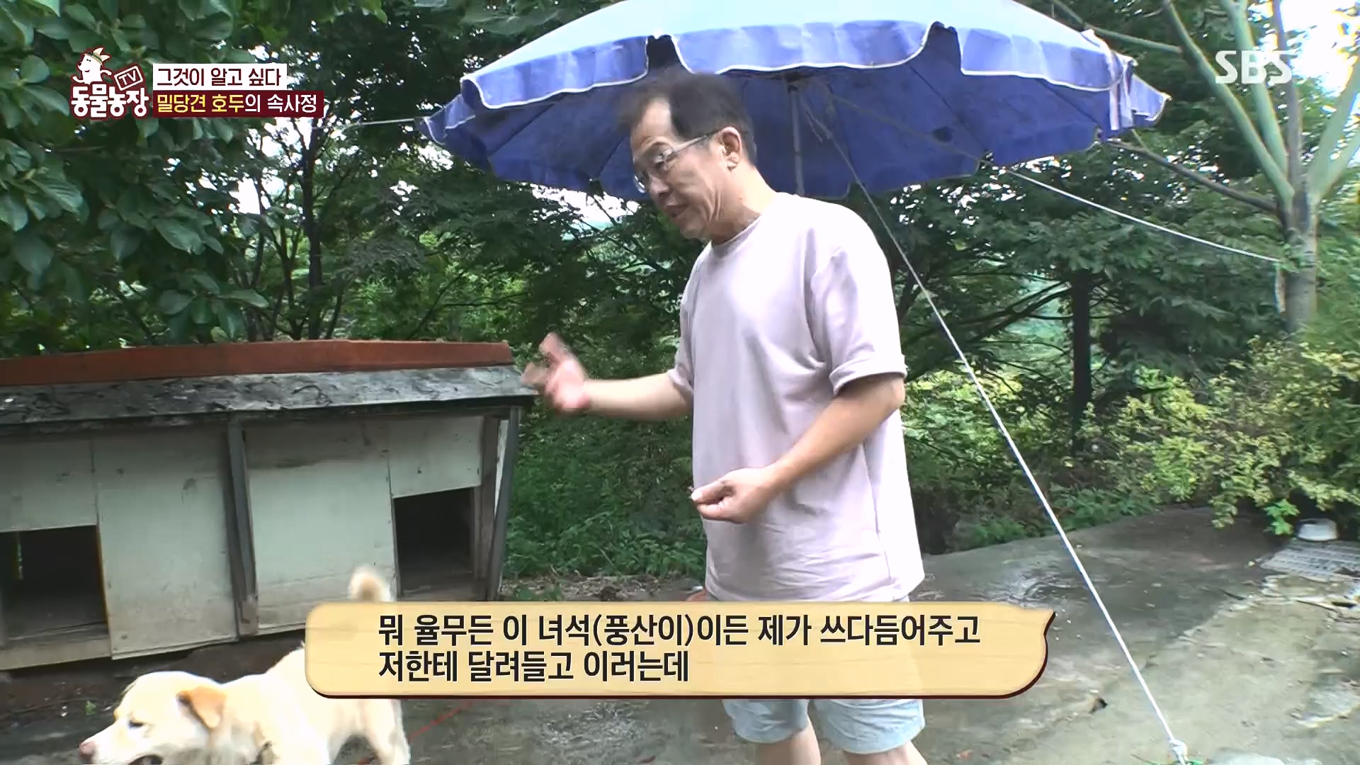 TV 동물농장.E1136.230903p.H264-F1RST.mp4_20230903_180342.728.jpg