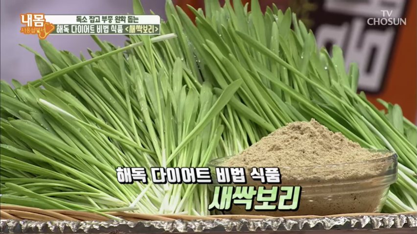  새싹보리 효능 부작용