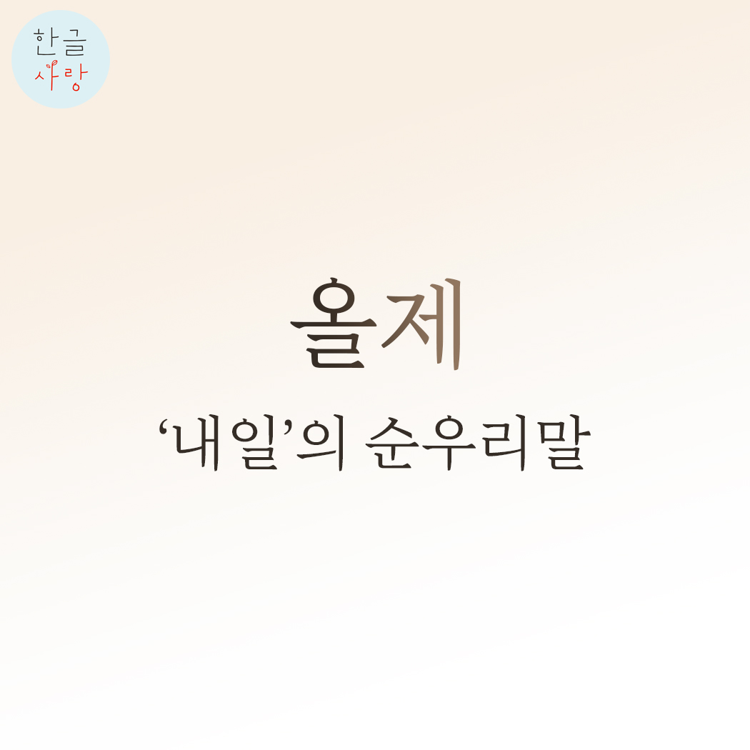 올제가 무슨 뜻인지 아세요?