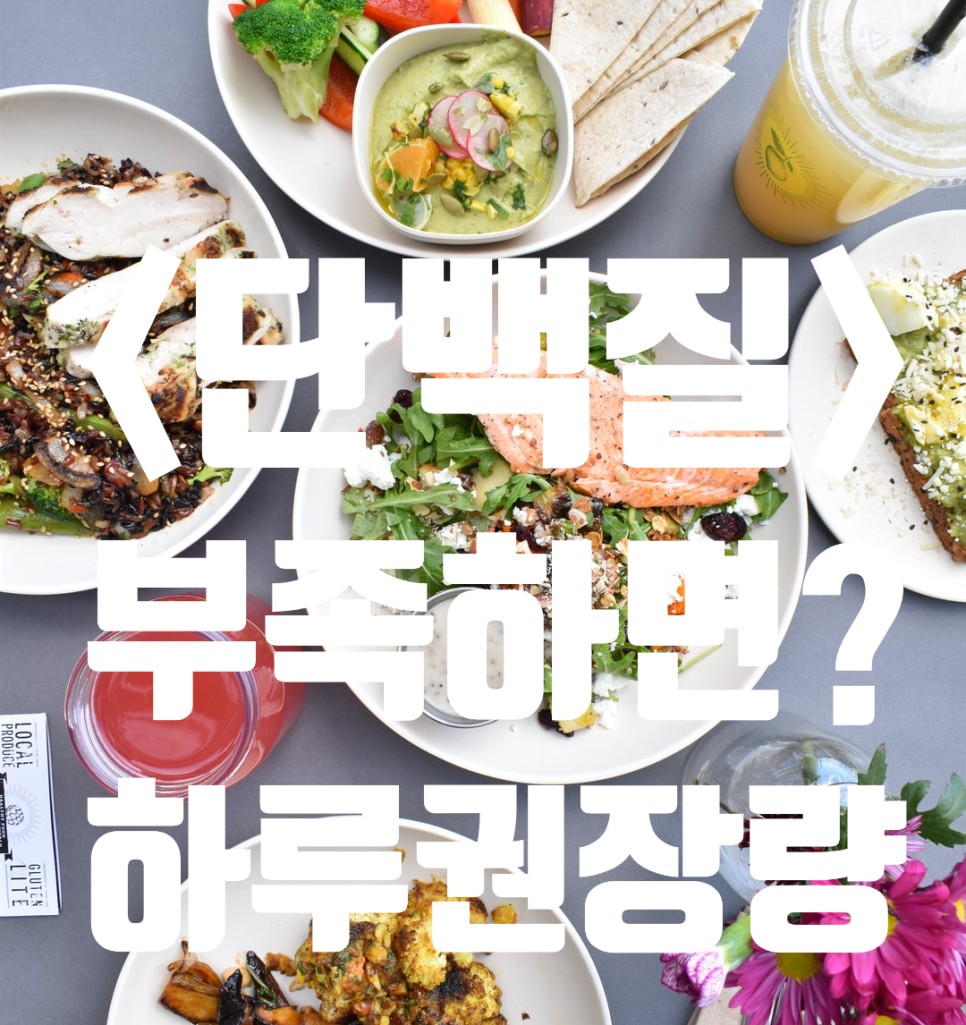  단백질 부족현상, 부족하면 ?.. 단백질 좋은점 1일 하루 권장량은?