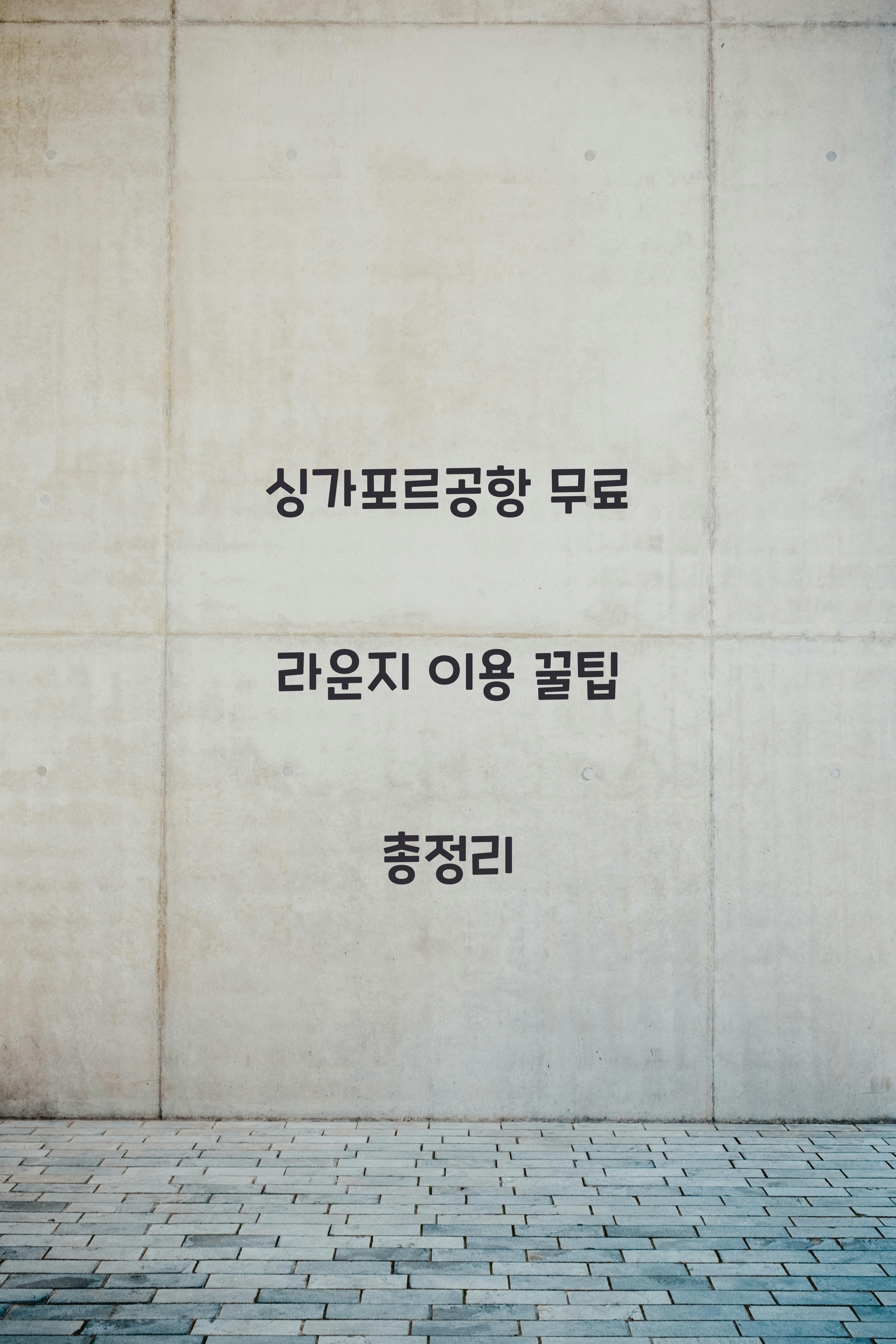 싱가포르공항