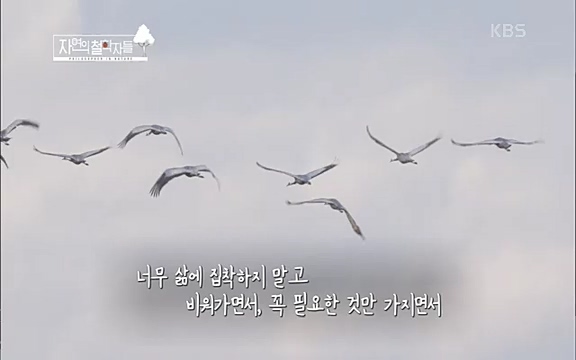 [3회] 자연의 철학자들 - KBS새처럼 살고 싶어라] 자연이라는 위대한 법당에서 숲의 울림, 새들의 소리를 들으며 깨달음을 얻은 도연 스님.ts_20220320_153501.175.jpg