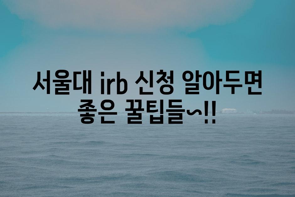 IRB 3