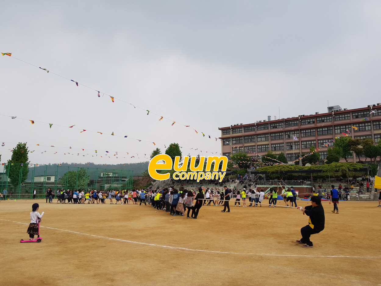  초등학교 운동회 진행 업체 이벤트업체