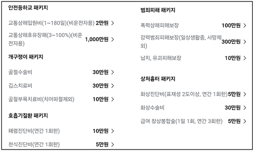 출처: 카카오페이