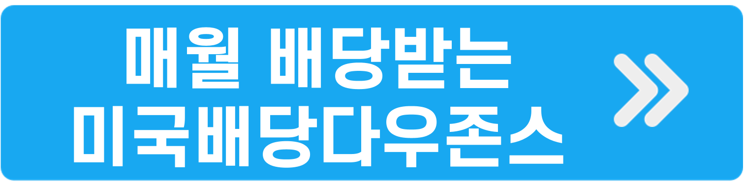 매월 배당받는 미국배당다우존스