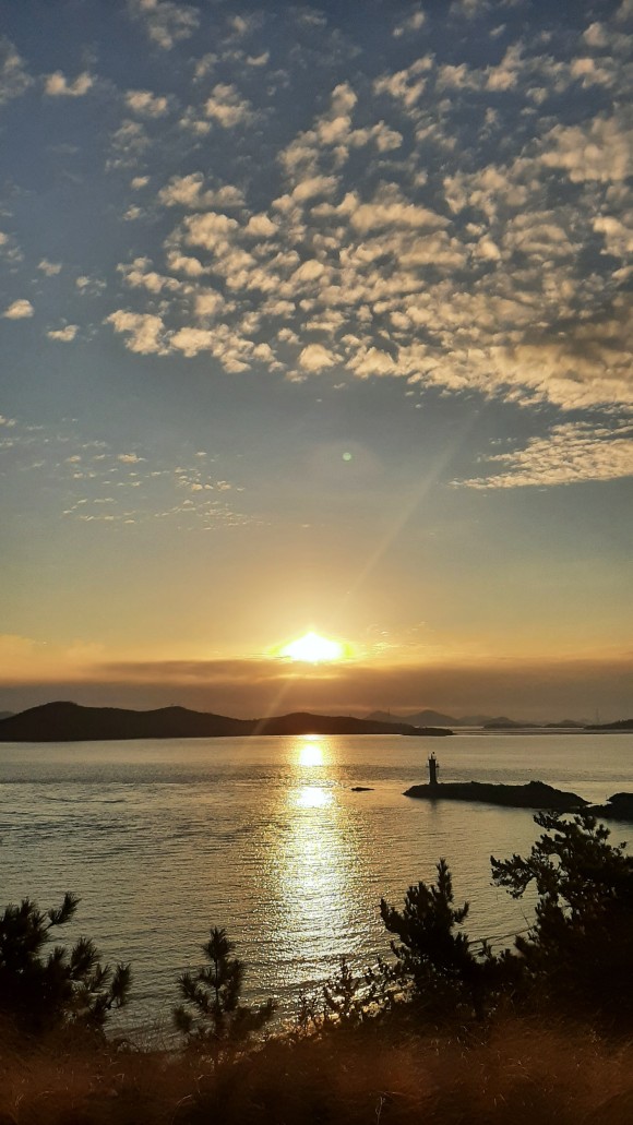 비금도 1. 4
