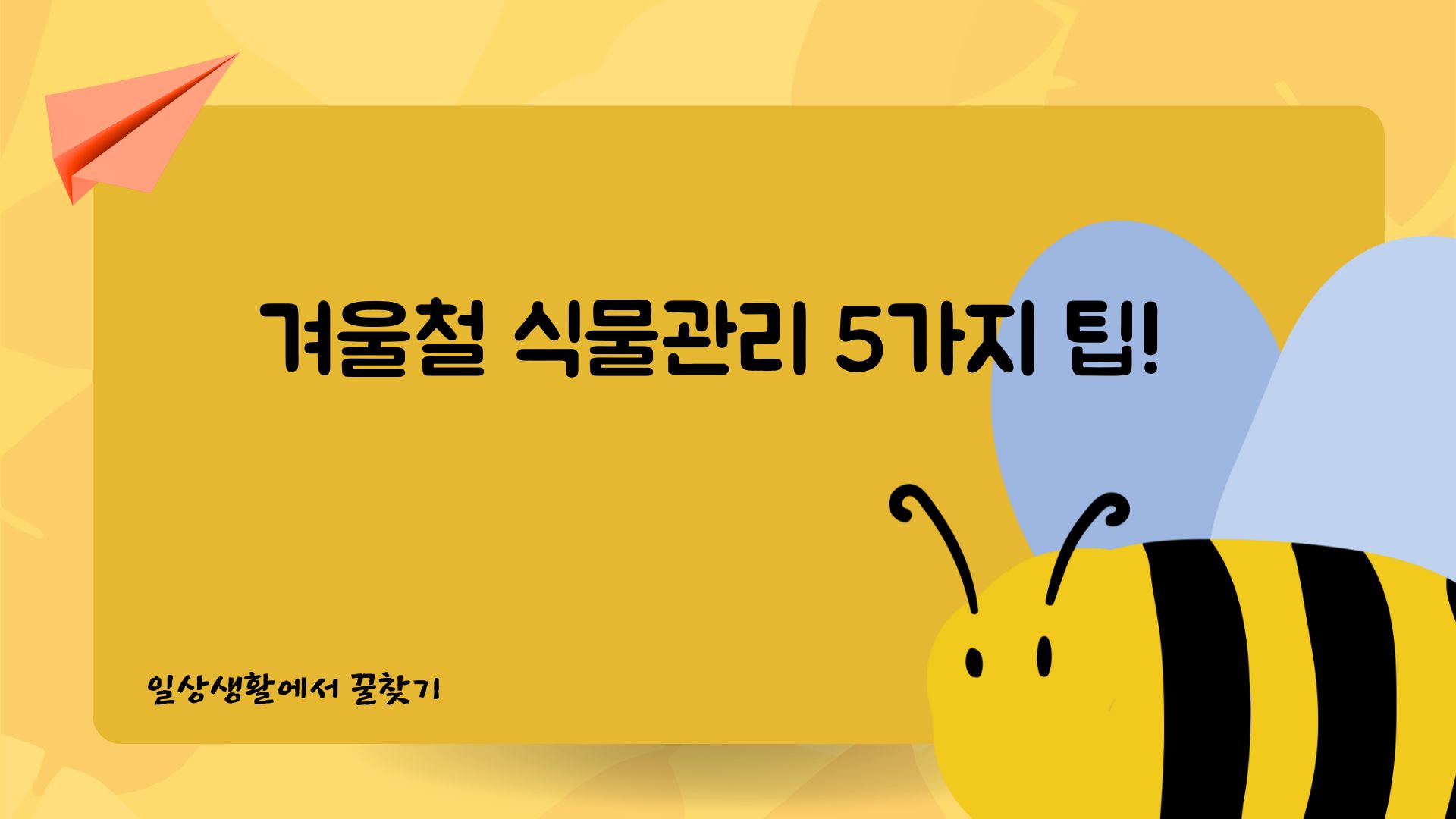  겨울철 식물 관리법! 식물을 실내에 들였을 때 주의해야할 점