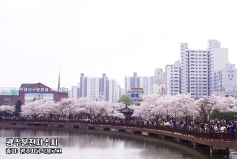 벚꽃 명소