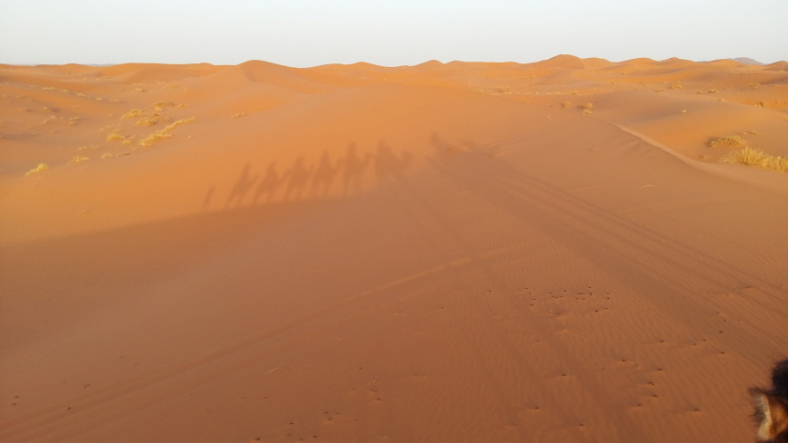 황홀한-풍경의-사하라사막