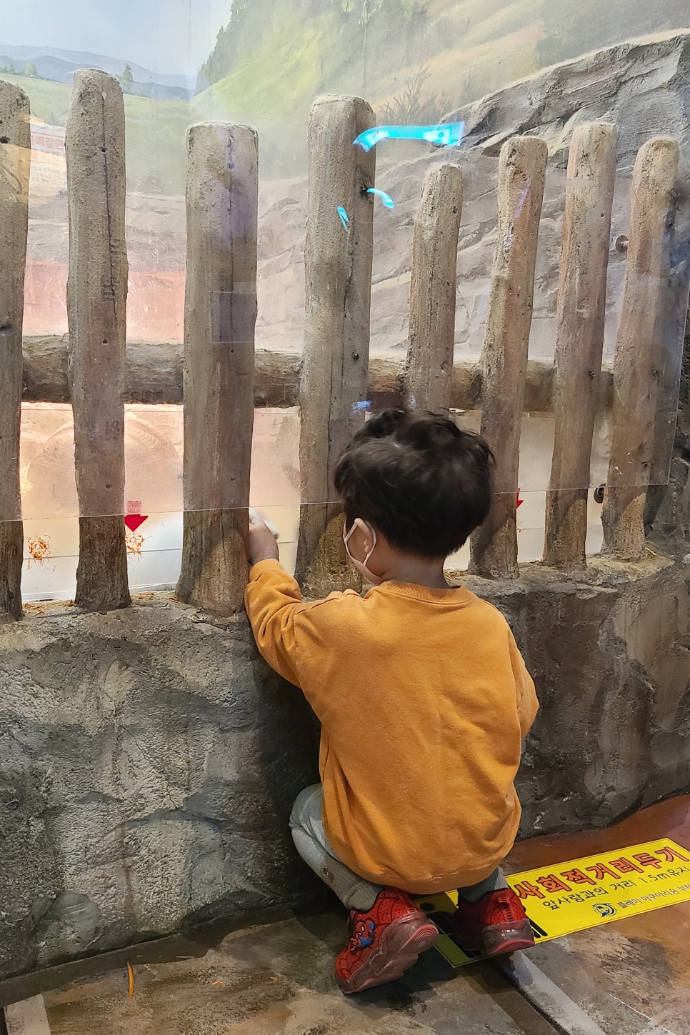 부천 아쿠아리움 부천 아쿠아리움먹이주기 체험 3