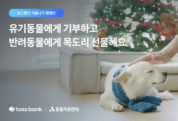 토크뱅크 겨울나기 캠페인 소개 참여 유기동물 기부 방법 목도리 키트 SNS 이벤트 동물자유연대