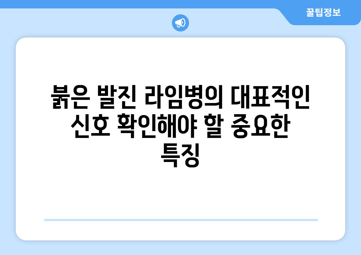 붉은 발진 라임병의 대표적인 신호 확인해야 할 중요한 특징