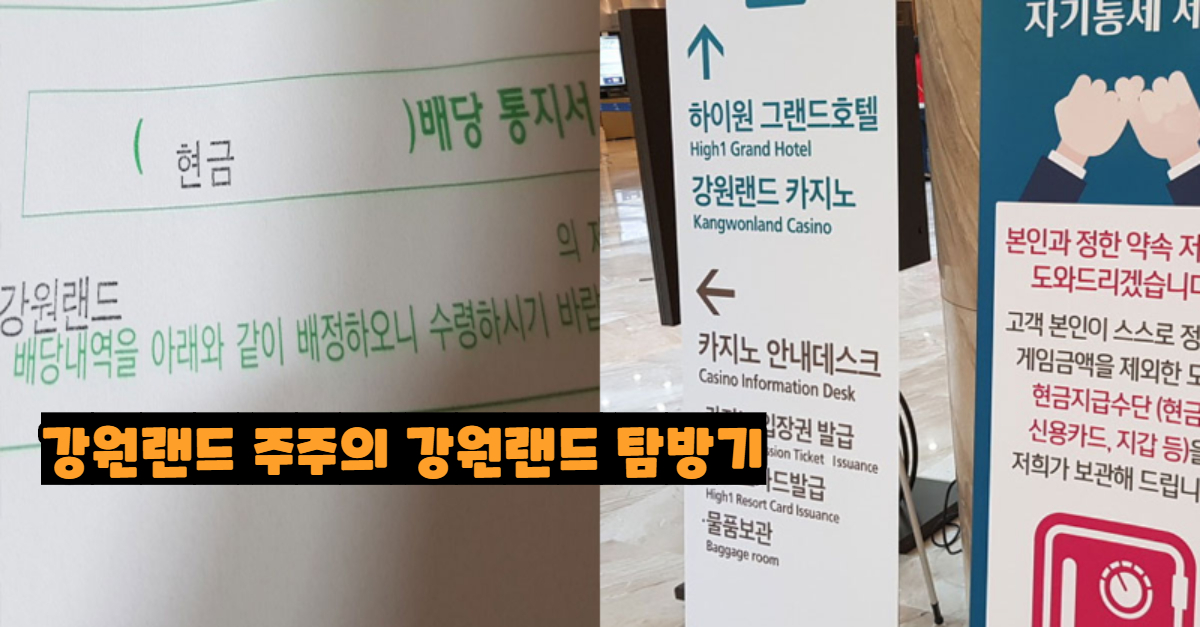  강원랜드 주주의 강원랜드 탐방기