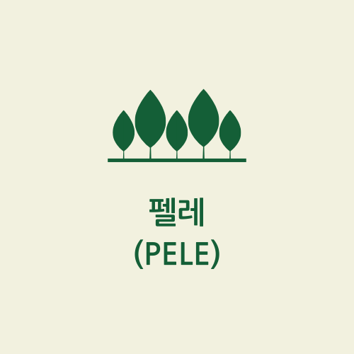 펠레(Pele)