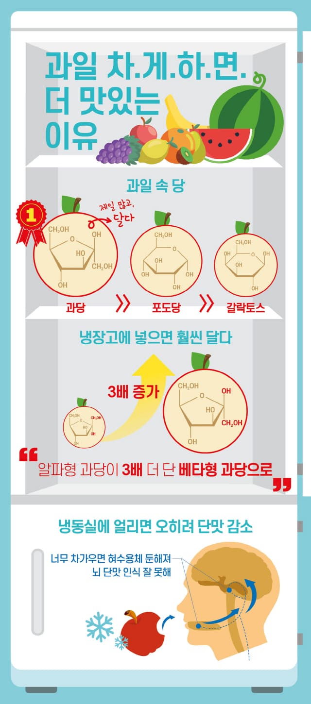  과일, 냉장고 넣으면 더 맛있는 이유