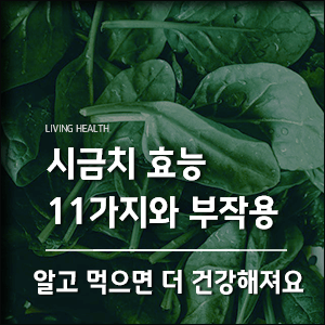  시금치 효능 11가지와 부작용, 알고 먹으면 더 건강해져요