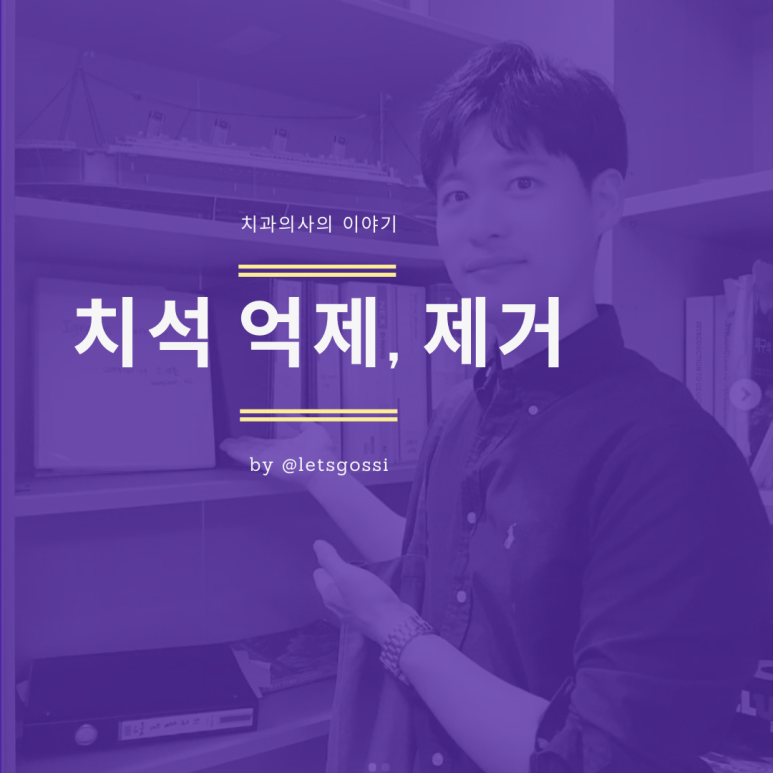  치석 억제 , 치석 제거 방법에 대해