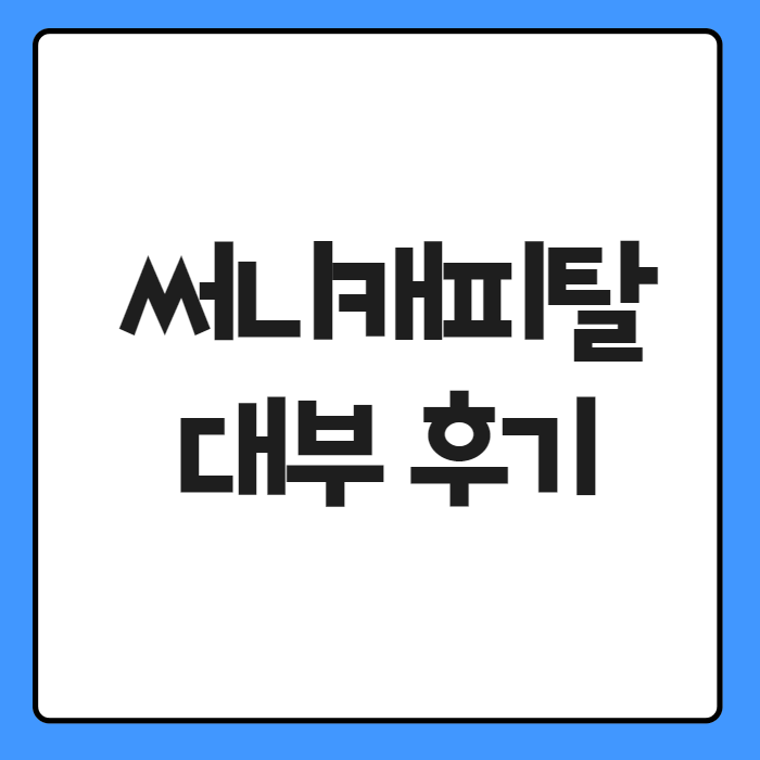 써니캐피탈대부 후기 01