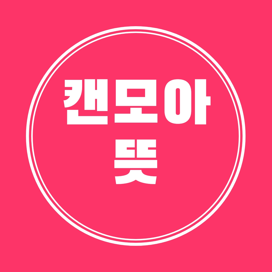  캔모아가 뭐에요?(feat. 전국 매장 정리)