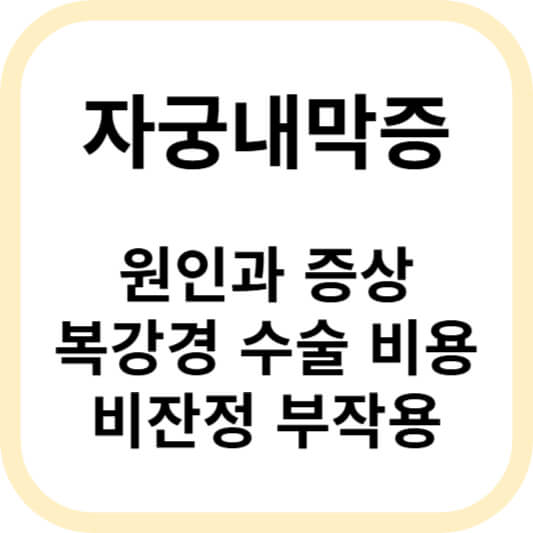 자궁내막증에 대해 알아보기