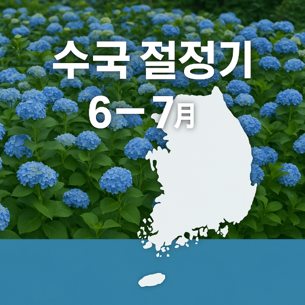 수국 절정기 전국 사진