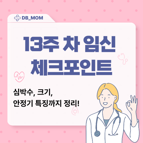 [13주 차] 태아 심장박동 수 &amp; 성장 변화 총정리 + 임신 2분기 진입 특징