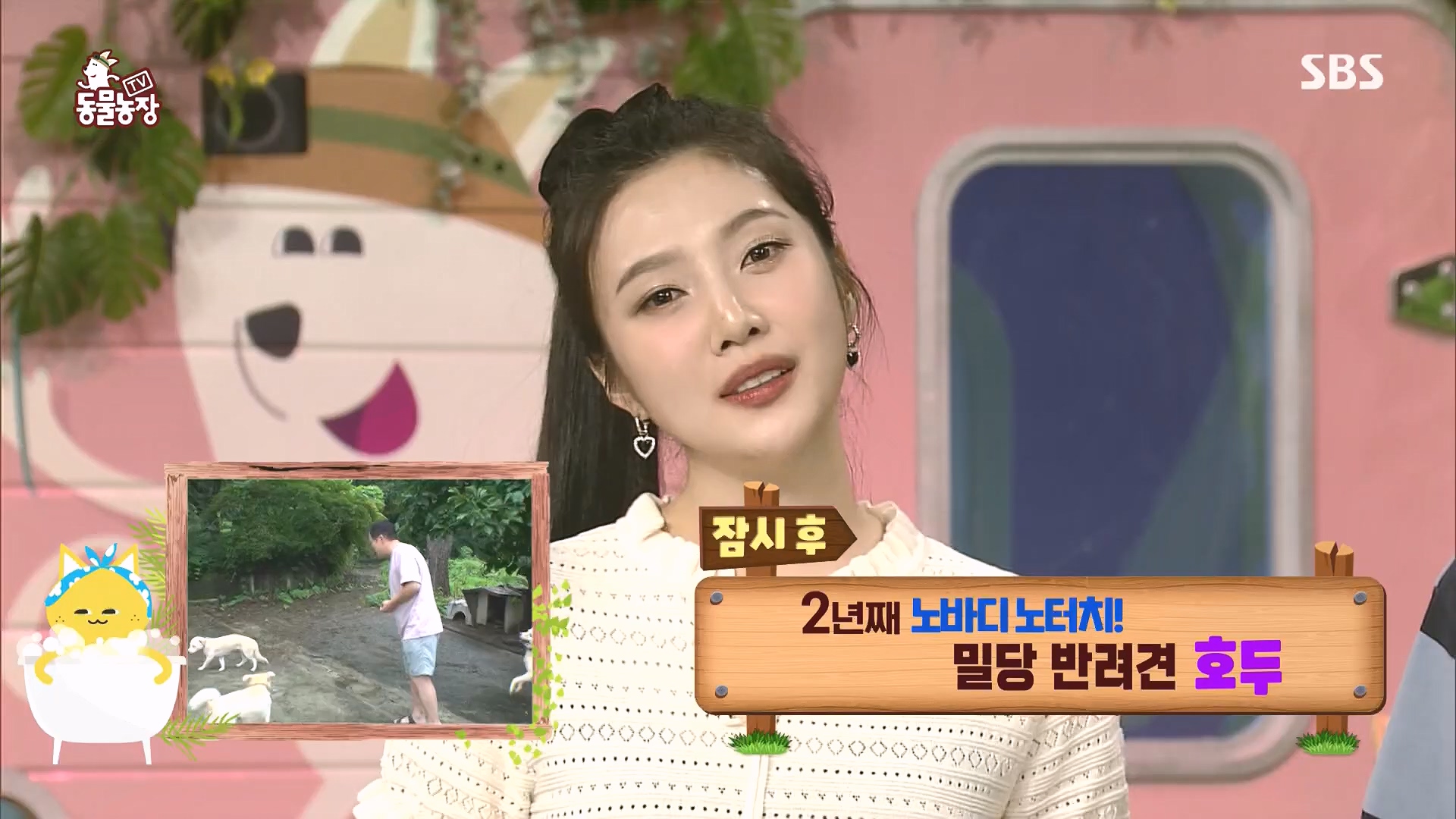 TV 동물농장.E1136.230903p.H264-F1RST.mp4_20230903_180331.847.jpg